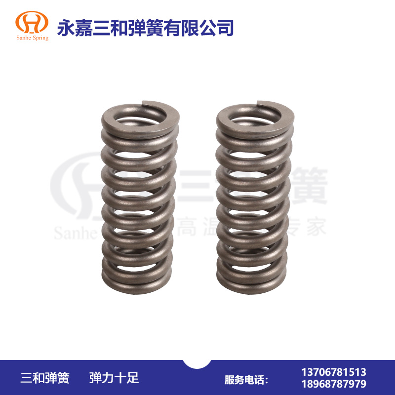 耐醋(cu)酸腐蝕(shi)彈簧