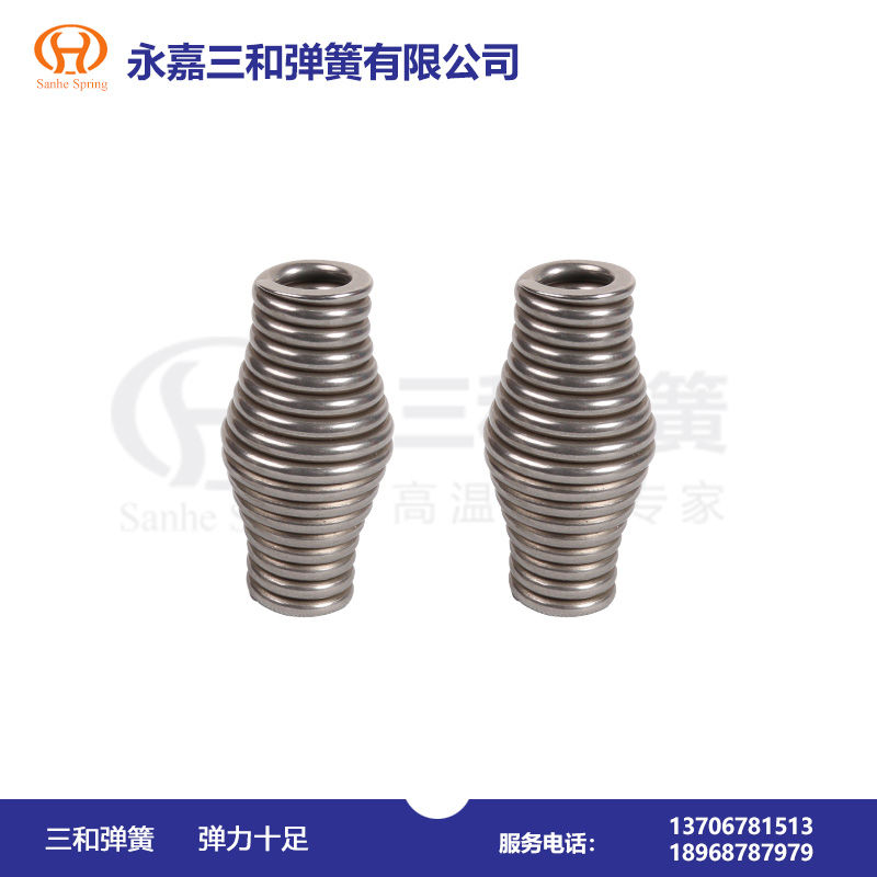 耐氫氟(fu)酸腐蝕(shi)彈簧