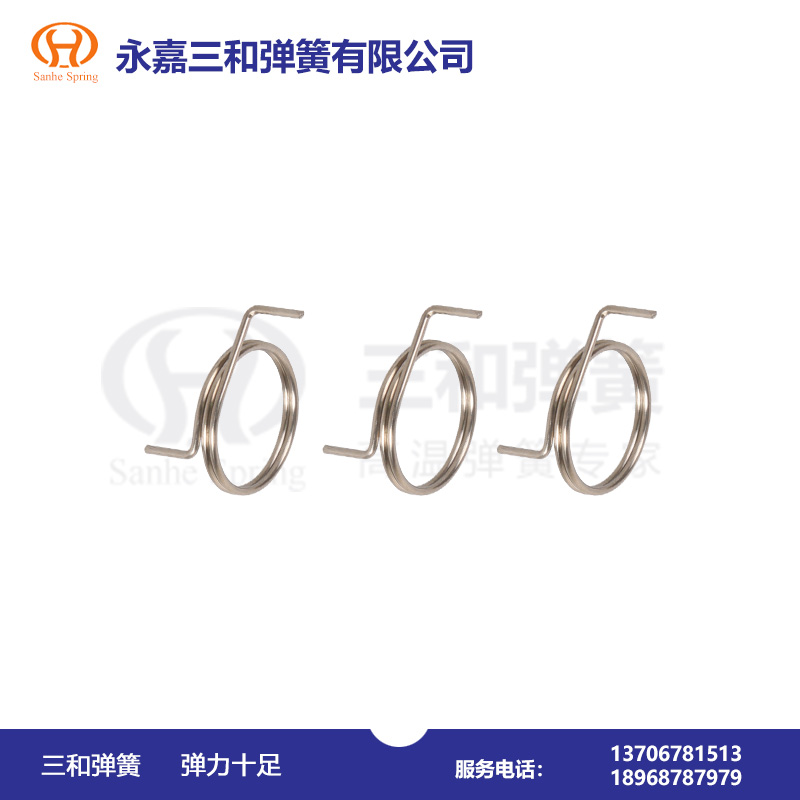 耐碳酸(suān)腐蝕彈(dàn)簧